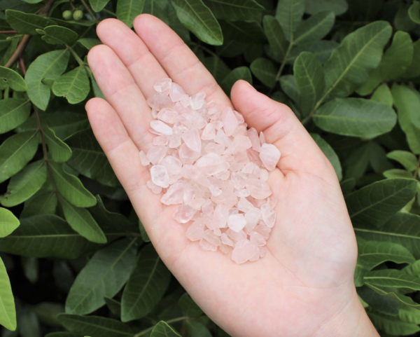 Rose Quartz (Tumbled Chips) - Image 2