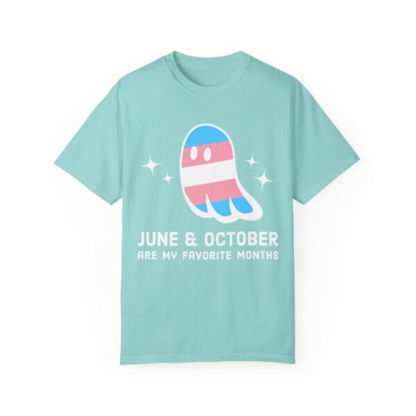 Proud Ghost | June & October Are My Favorite Months | Trans Flag | Unisex Comfort Colors T-shirt - Image 14