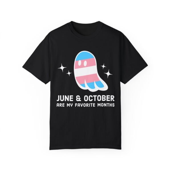 Proud Ghost | June & October Are My Favorite Months | Trans Flag | Unisex Comfort Colors T-shirt