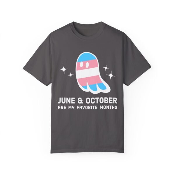 Proud Ghost | June & October Are My Favorite Months | Trans Flag | Unisex Comfort Colors T-shirt - Image 40