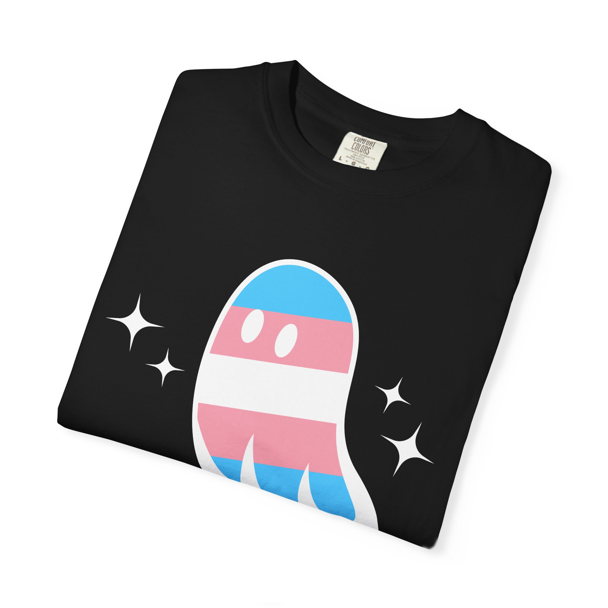 Proud Ghost | June & October Are My Favorite Months | Trans Flag | Unisex Comfort Colors T-shirt - Image 3