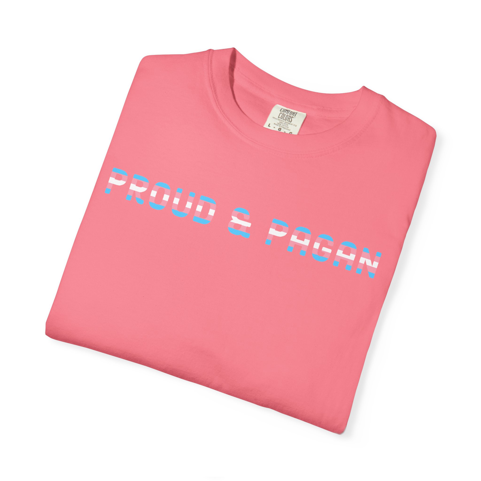 Proud & Pagan | Trans Flag | Unisex Comfort Colors T-shirt - Image 19