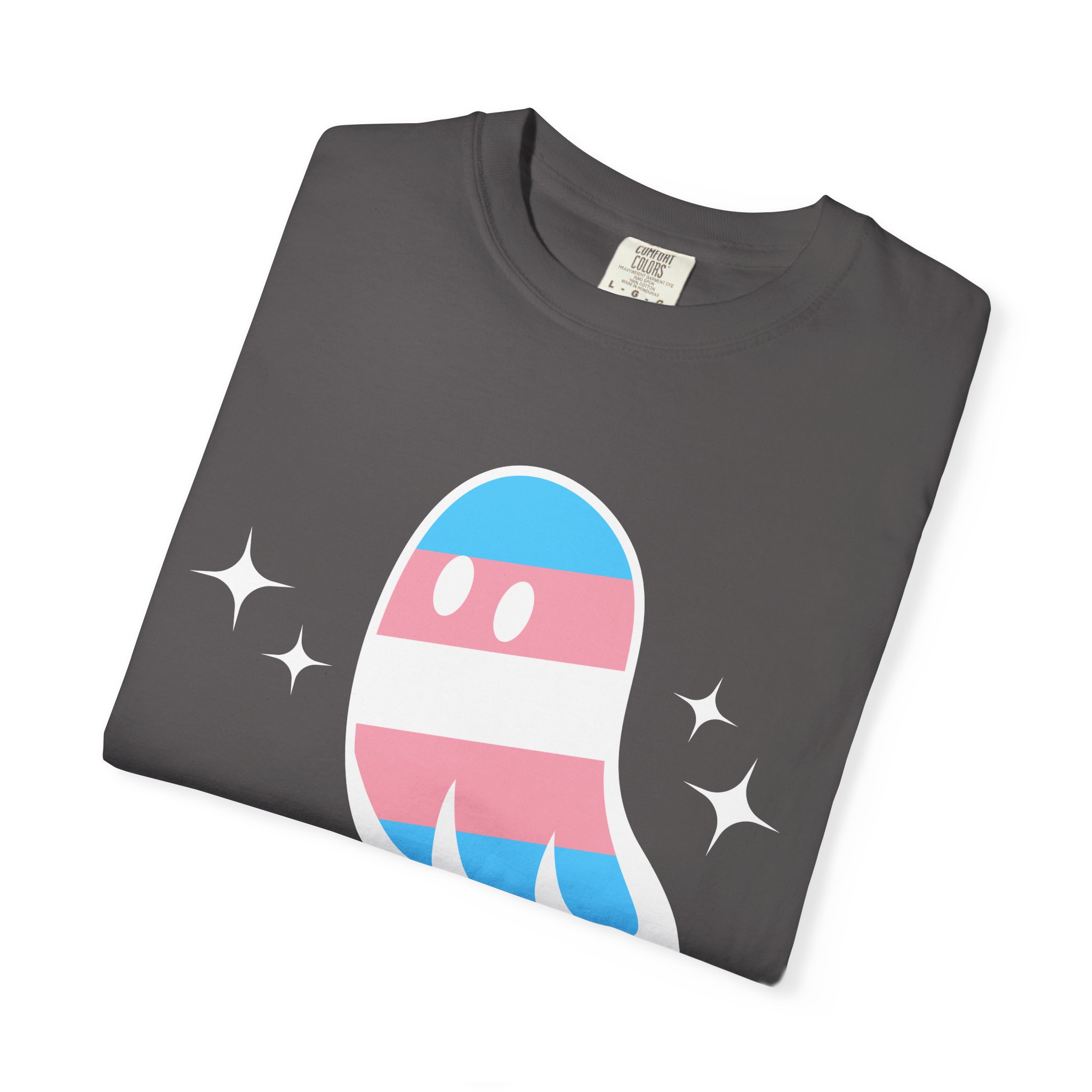 Proud Ghost | June & October Are My Favorite Months | Trans Flag | Unisex Comfort Colors T-shirt - Image 15