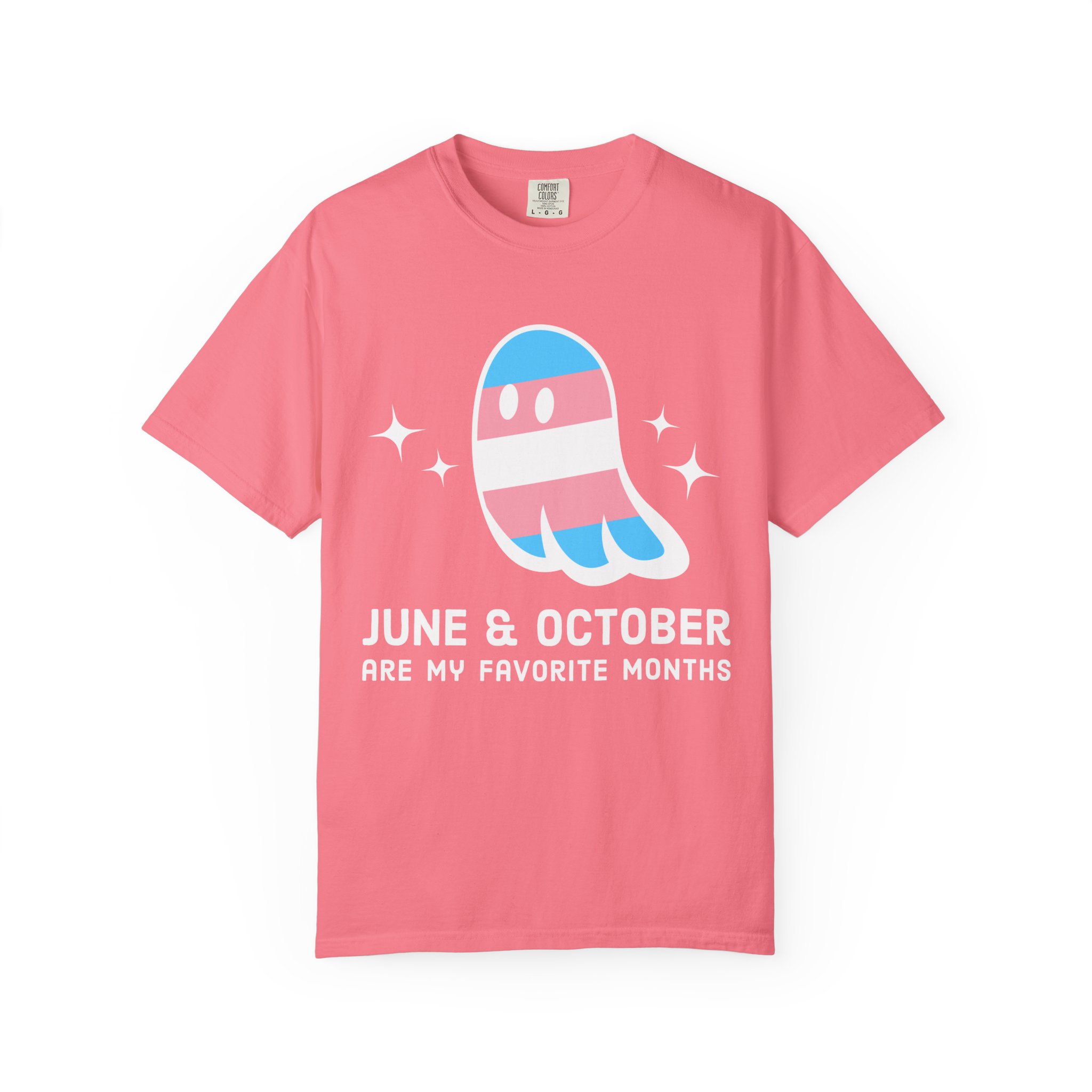 Proud Ghost | June & October Are My Favorite Months | Trans Flag | Unisex Comfort Colors T-shirt - Image 17