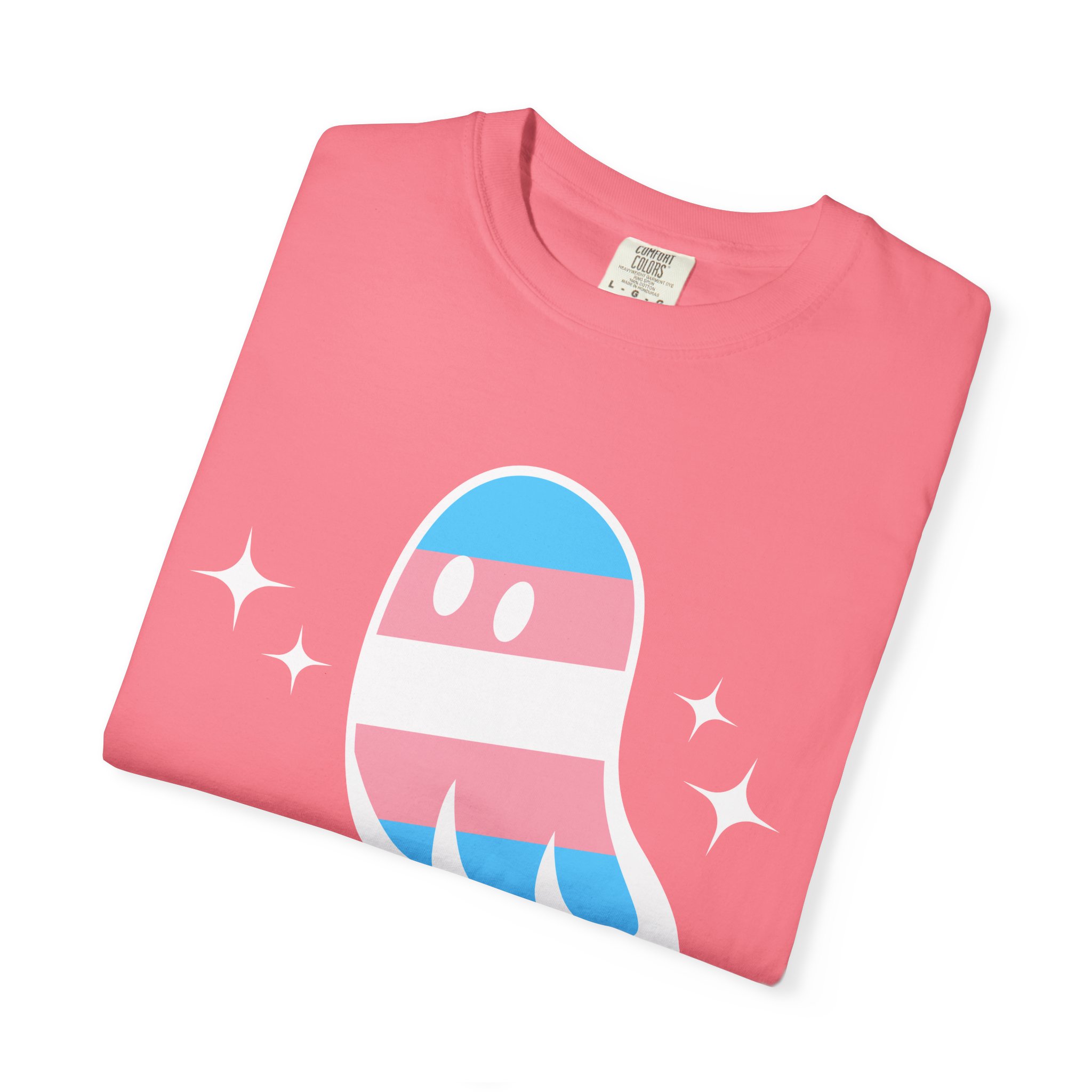 Proud Ghost | June & October Are My Favorite Months | Trans Flag | Unisex Comfort Colors T-shirt - Image 19